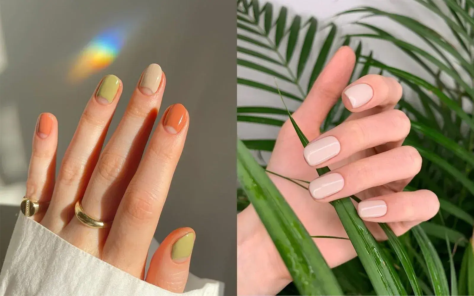 Pastel tonlarda kalıcı oje sürülmüş eller